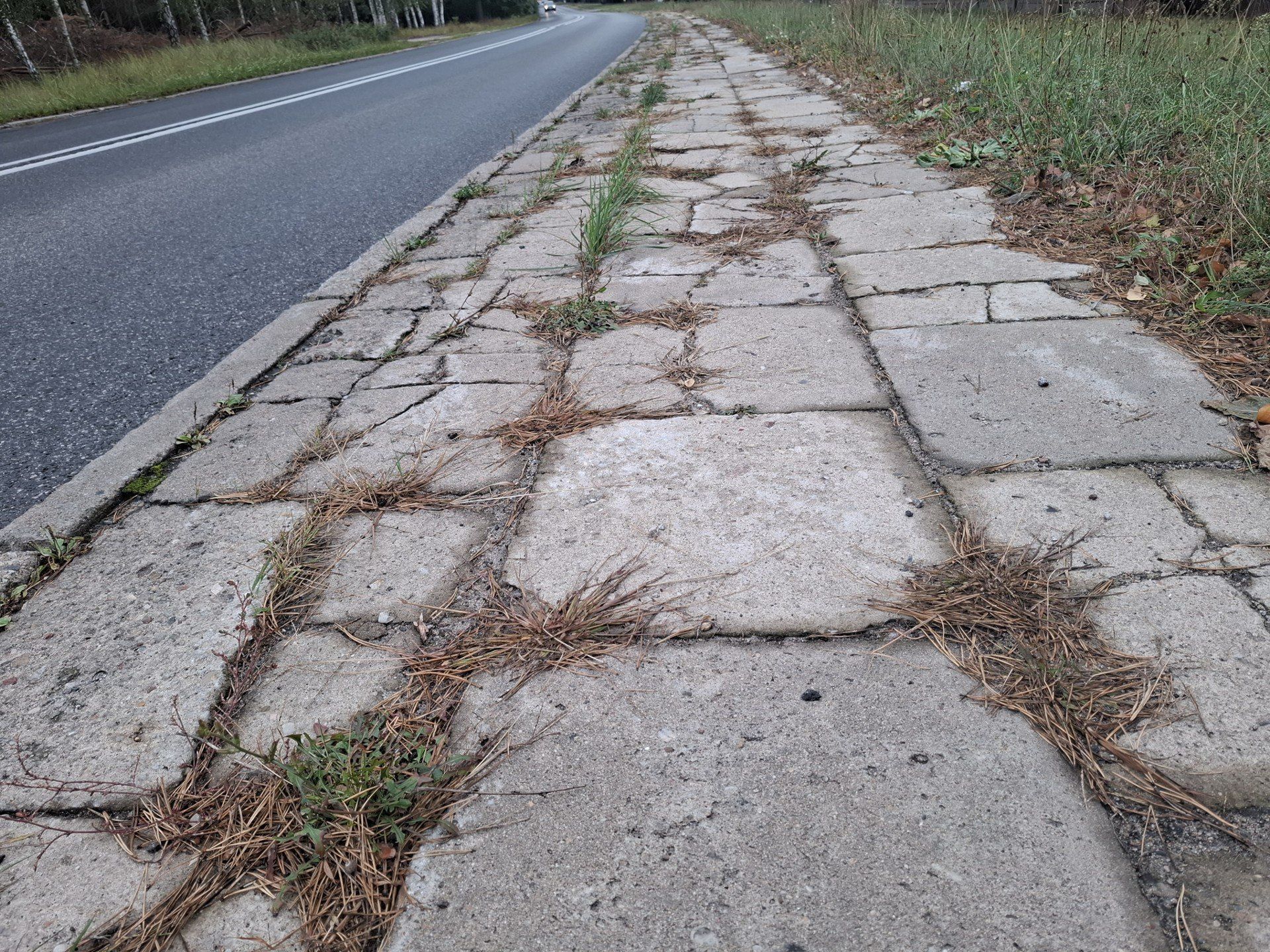 Chodnik widmo? Było odkrycie archeologiczne roku w Skierniewicach, a teraz znika