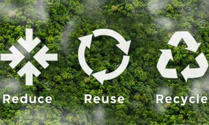 Drugie życie opakowań. Odpowiedzialność i zrównoważony rozwój jako nowy wymiar luksusu