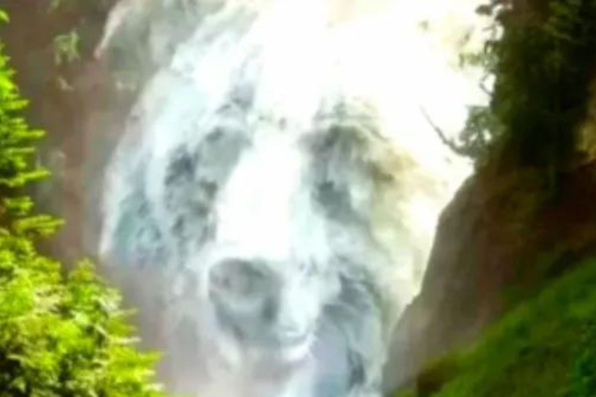 Widzisz na obrazku wodospad czy niedźwiedzia? Odpowiedź powie o tobie wiele