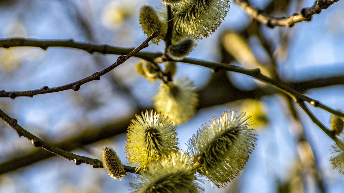Prognoza na środę 10 maja 