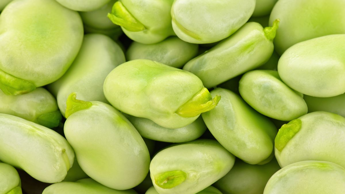 Bób zachowa kolor i smak. Wystarczy dodać do niego jeden składnik