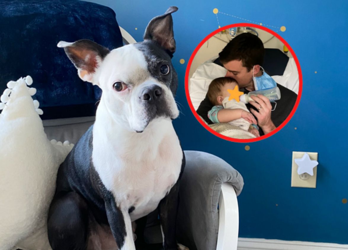 "Spędziliśmy noc w szpitalu". Jest przekonana, że pies uratował życie jej dziecka