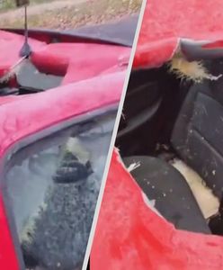 Auto jeszcze dymiło. "Wszystko wskazuje na to, że to meteoryt"