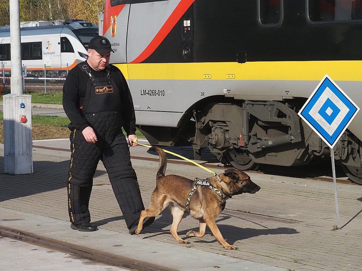 Ćwiczenia służb mundurowych w pociągu Łódzkiej Kolei Aglomeracyjnej