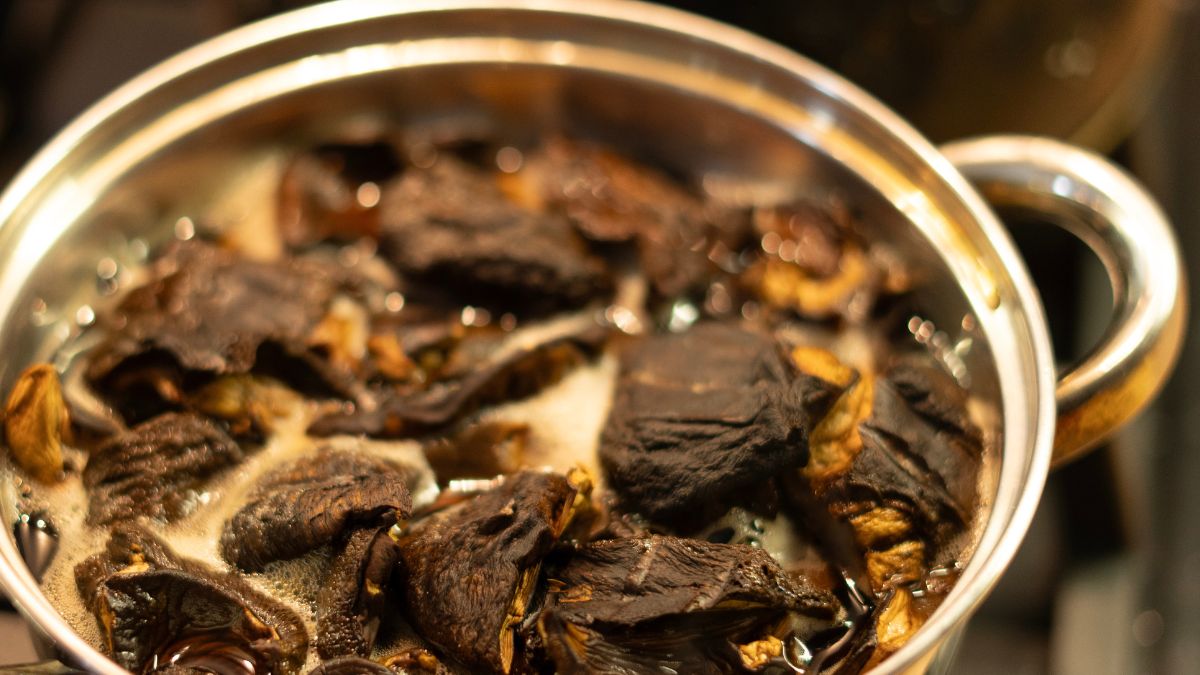 Moczenie grzybów to ważna rzecz