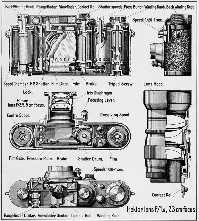 Tak wyglądała anatomia Leiki w 1939 roku 3