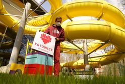 Katowice. Po zimowej przerwie pszczoły wracają do miasta