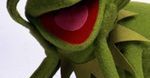 Jason Segel z Muppetami i zespołem Queen