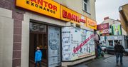 Złoty ma za sobą najgorsze półrocze od 2011 roku. Euro może być jeszcze droższe
