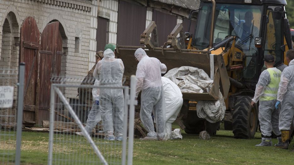 Nowe prawo w sprawie zapobiegania  epidemii ASF jeszcze w kwietniu weszło w życie na terenie całej UE. W Polsce nawet nie poinformowano rolników. Na fot. działania weterynarzy na terenie ogniska choroby