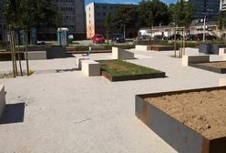 Wrocław. Skwer widokowy w centrum miasta. Kolejne zielone miejsce na mapie