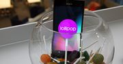 Masz nieflagowego smartfona Sony? O Lollipopie możesz zapomnieć, czyli słodka śmierć Xperii