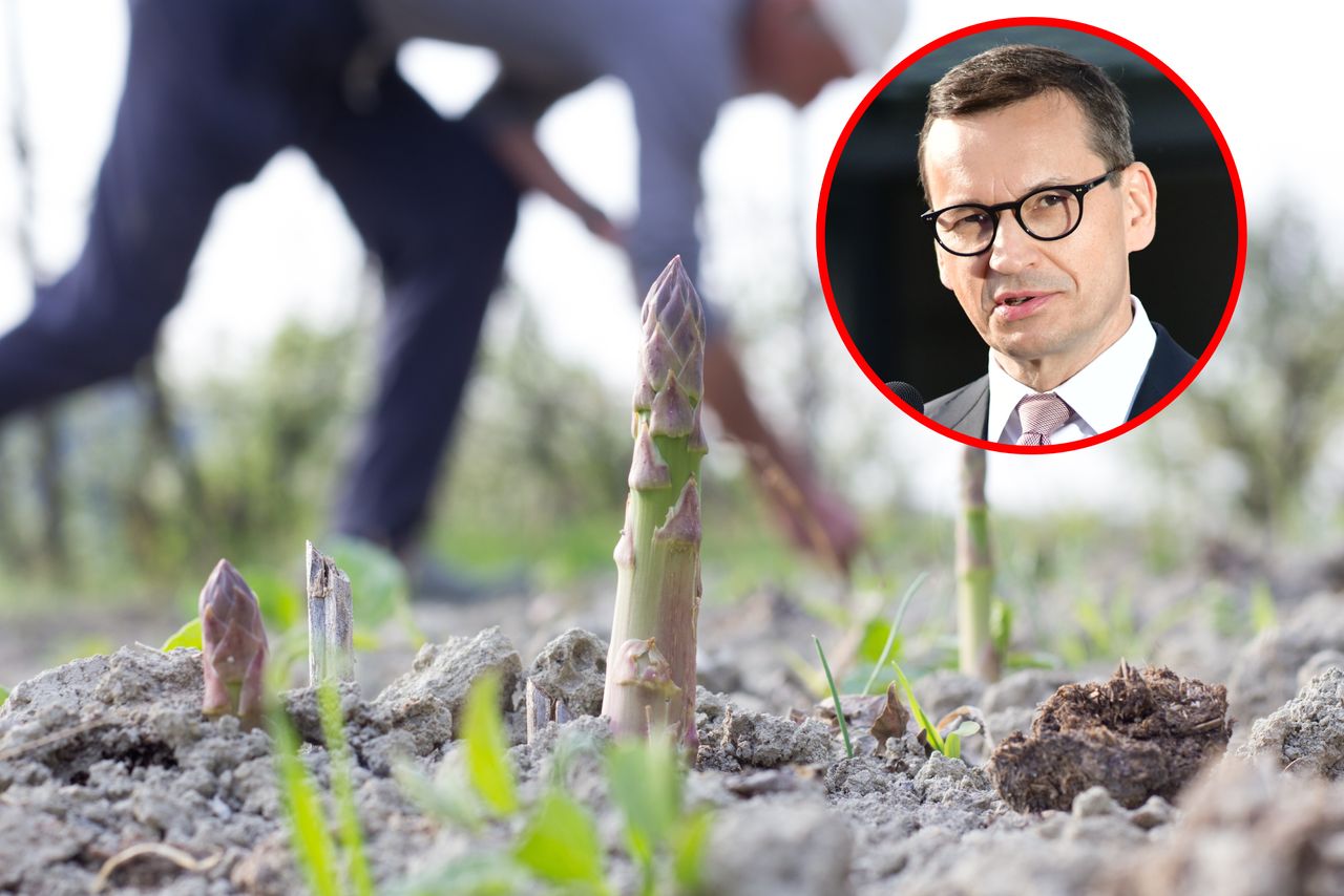 Polacy na saksach. Po okresie zbiorów praca czeka w produkcji, logistyce i budowlance