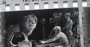 Czytanie sztuki Krakowskiego o Hollywood w nowojorskim teatrze