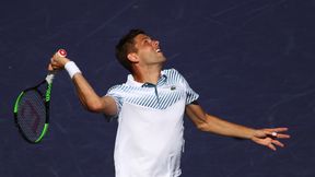 ATP Budapeszt: Filip Krajinović od kwalifikacji do finału. O tytuł zagra z Matteo Berrettinim