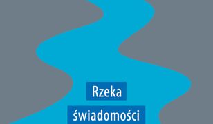 Rzeka świadomości