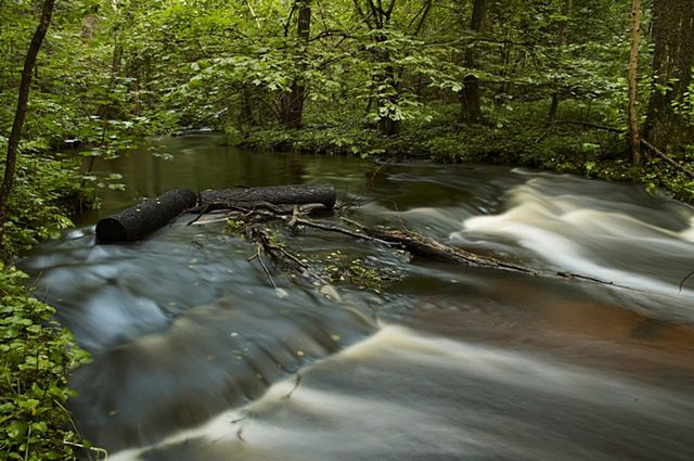 Progi skalne na Szumie / www.mzarobkiewicz.pl
