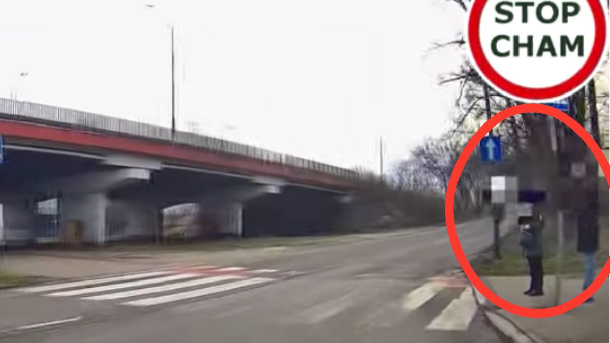 Kierowca na przejściu dla pieszych ściął się ze starszym panem