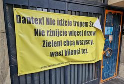 Deweloper chce wyciąć stare drzewo. Mieszkańcy protestują