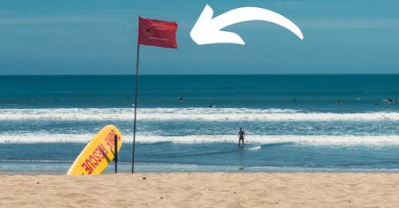 Nie tylko biała i czerwona, ale też fioletowa i błękitna. Oto co oznaczają kolory flag na plaży