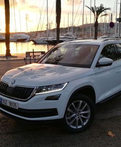 Skoda Kodiaq - jeździ lepiej niż wygląda