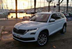 Skoda Kodiaq - jeździ lepiej niż wygląda