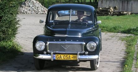 Garbus ze Szwecji