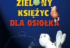 Miasta soli. Zagubieni