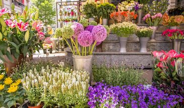 Dzień Kobiet 2021. Jakie kwiaty wybrać?