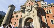 Koszmar pod słynną atrakcją. Turystka zamknęła psa w schowku na bagaż