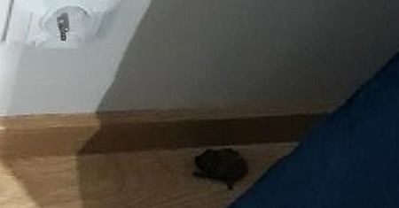 Nie Dracula i nie Batman, kulisy nocnej wizyty