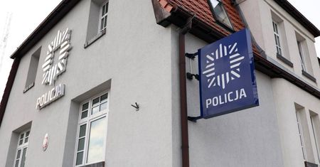 Rozczłonkowany kot znaleziony na terenie mysłowickiej firmy. "To okrucieństwo, na które nie można pozostać obojętnym"