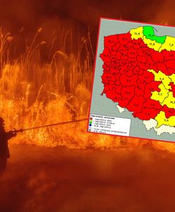 Lasy suche jak papier. Ekstremalne zagrożenie pożarami w zachodniej Polsce