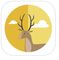 Wild Weather - Where hand drawn illustrations meet accurate weather conditions icon