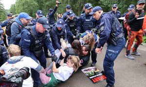 Spór o konie na trasie do Morskiego Oka. Policja prowadzi 71 spraw