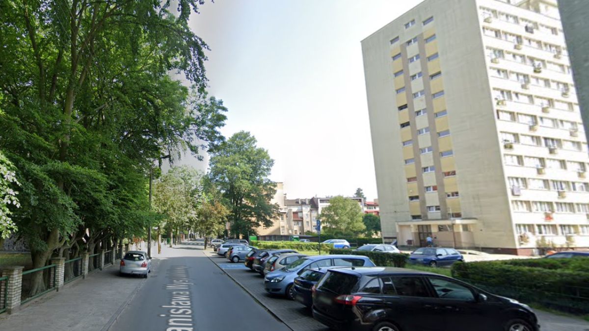 W Świnoujściu nieznany sprawca strzela do zwierząt