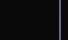83-86743-58-1_9808_F.jpg