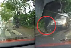 Dramatyczne nagranie ze Świdnika. Rowerzysta nie miał szans