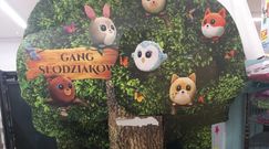 Gang Słodziaków. Uważaj na haczyk w regulaminie