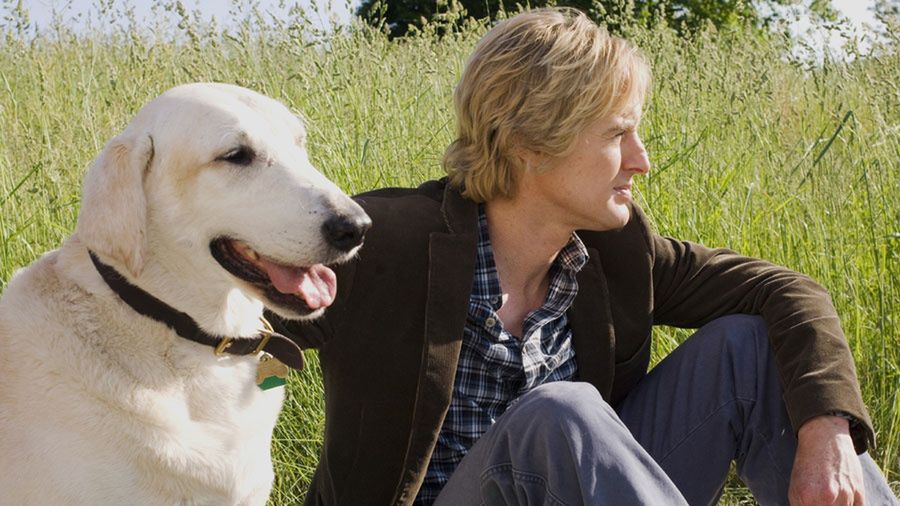 Lista najlepszych filmów o psach, które wzruszają do łez!