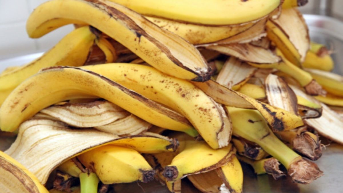 Skórka od banana posiada liczne zastosowania i jest bogatym źródłem składników odżywczych