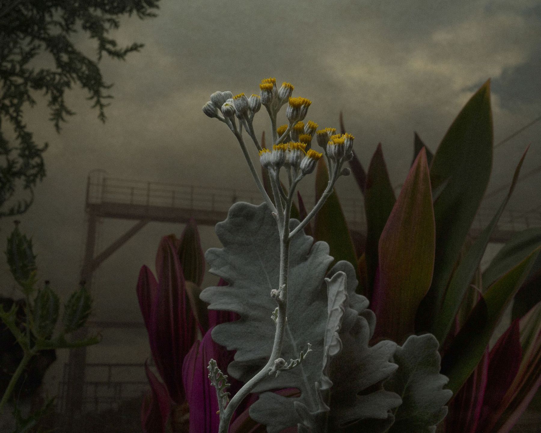 Dwóch Polaków wśród zwycięzców prestiżowego konkursu Magnum Photography Awards 2017 51