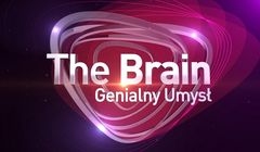 Endemol Shine Polska pracuje nad reaktywacją „The Brain. Genialny umysł”
