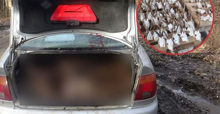 Kłusownik otworzył bagażnik. Policjanci aż złapali się za głowy