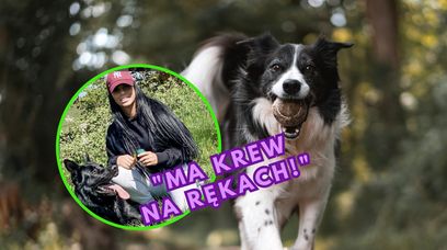 Ma krew psów na rękach? Znana modelka pod lupą aktywistów