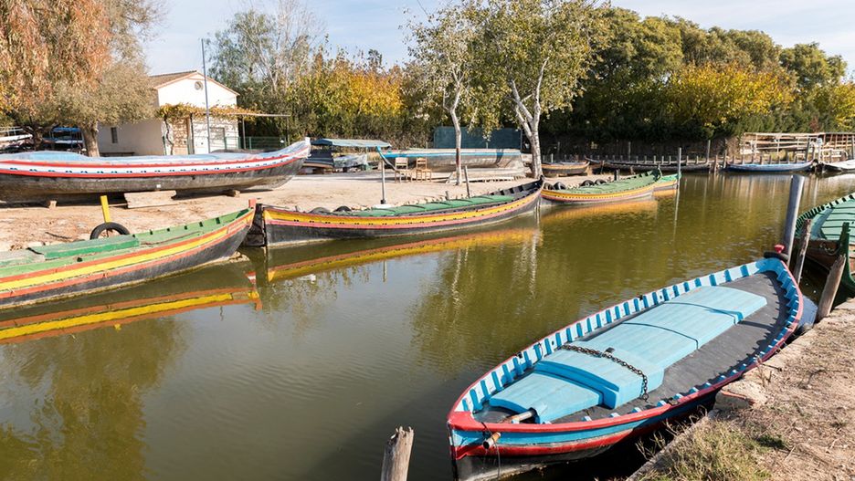 Albufera de Valencia