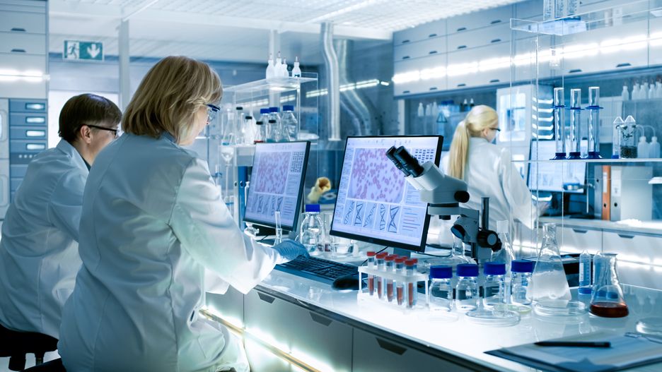 NeoCoV. Chińscy naukowcy odkryli nowego, jeszcze bardziej niebezpiecznego koronawirusa 