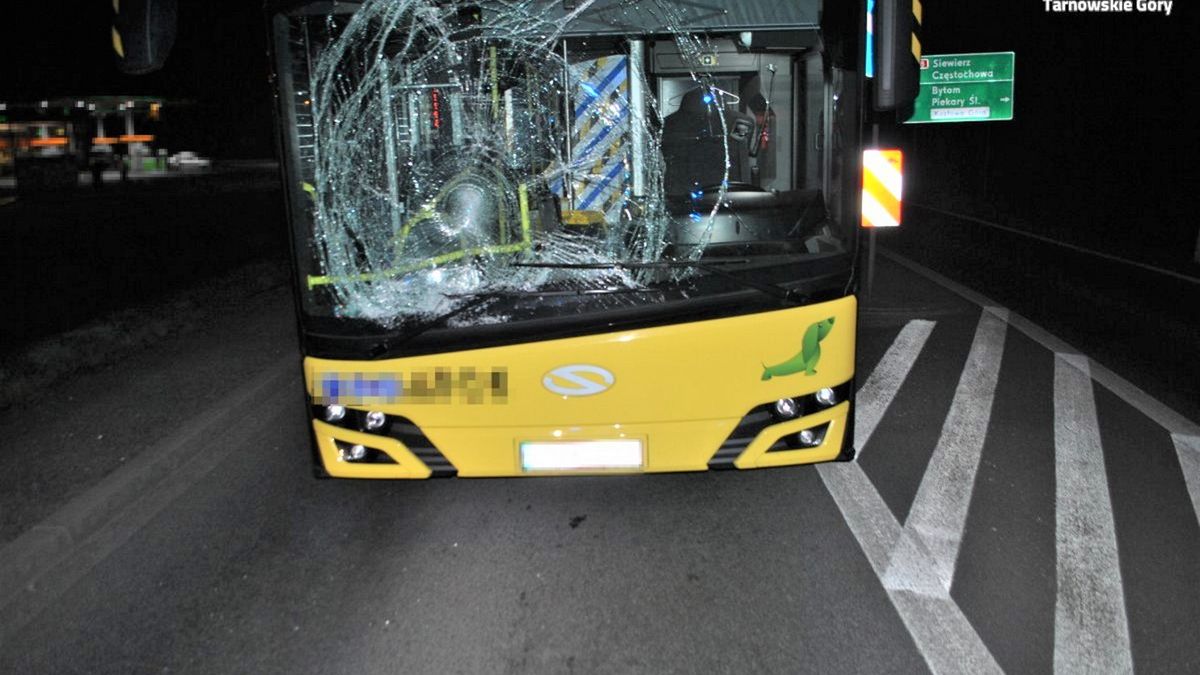 W sobotnią noc na ulicy Tarnogórskiej w Świerklańcu doszło do tragicznego wypadku. 