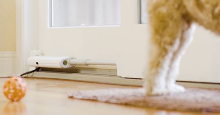 Przesuwane smart drzwi dla zwierzaków i... być może włamywacza. Gadżet Wayzn na CES 2020