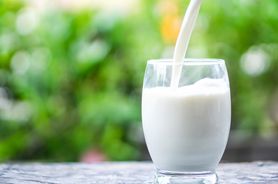 Mleko konopne - charakterystyka, składniki odżywcze, właściwości zdrowotne, przepis